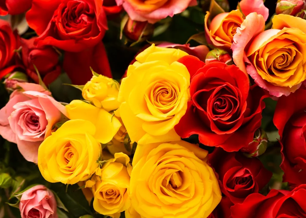 arreglos rosas quito